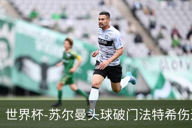 世界杯-苏尔曼头球破门法特希伤退 半场新西兰1-0埃及